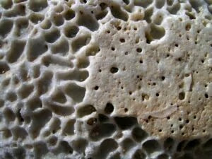 ZEOLIT MICRO-ACTIV Klinoptilolit mikronizovaný prášok 250g